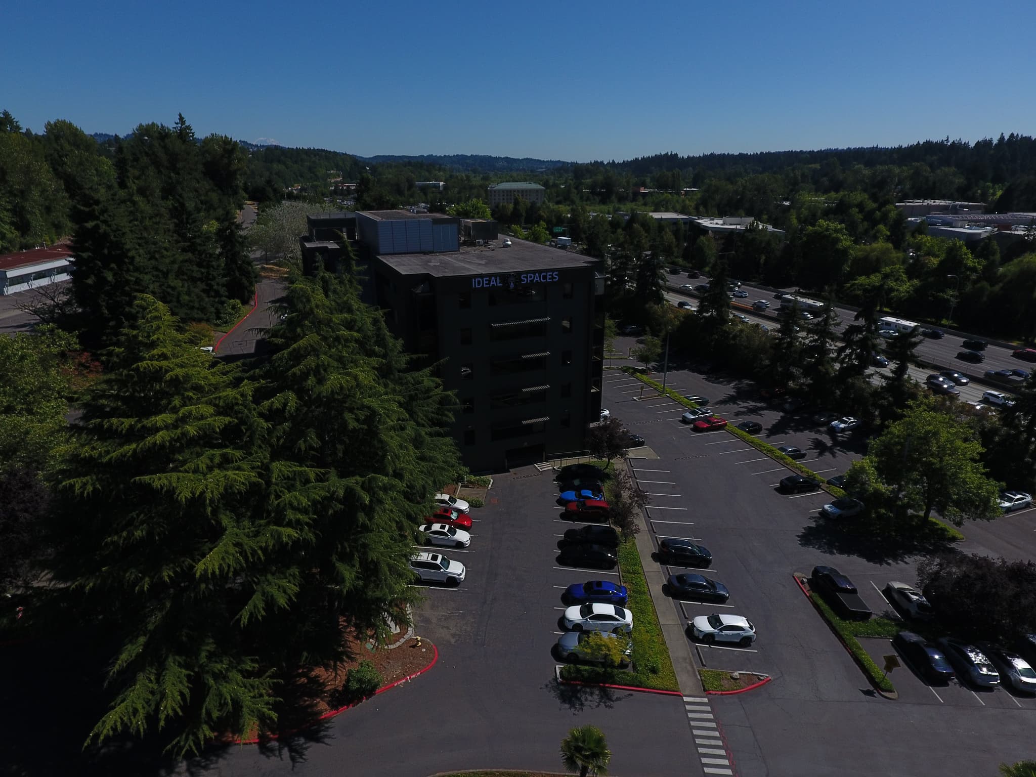 Happy professional at Ideal Spaces coworking