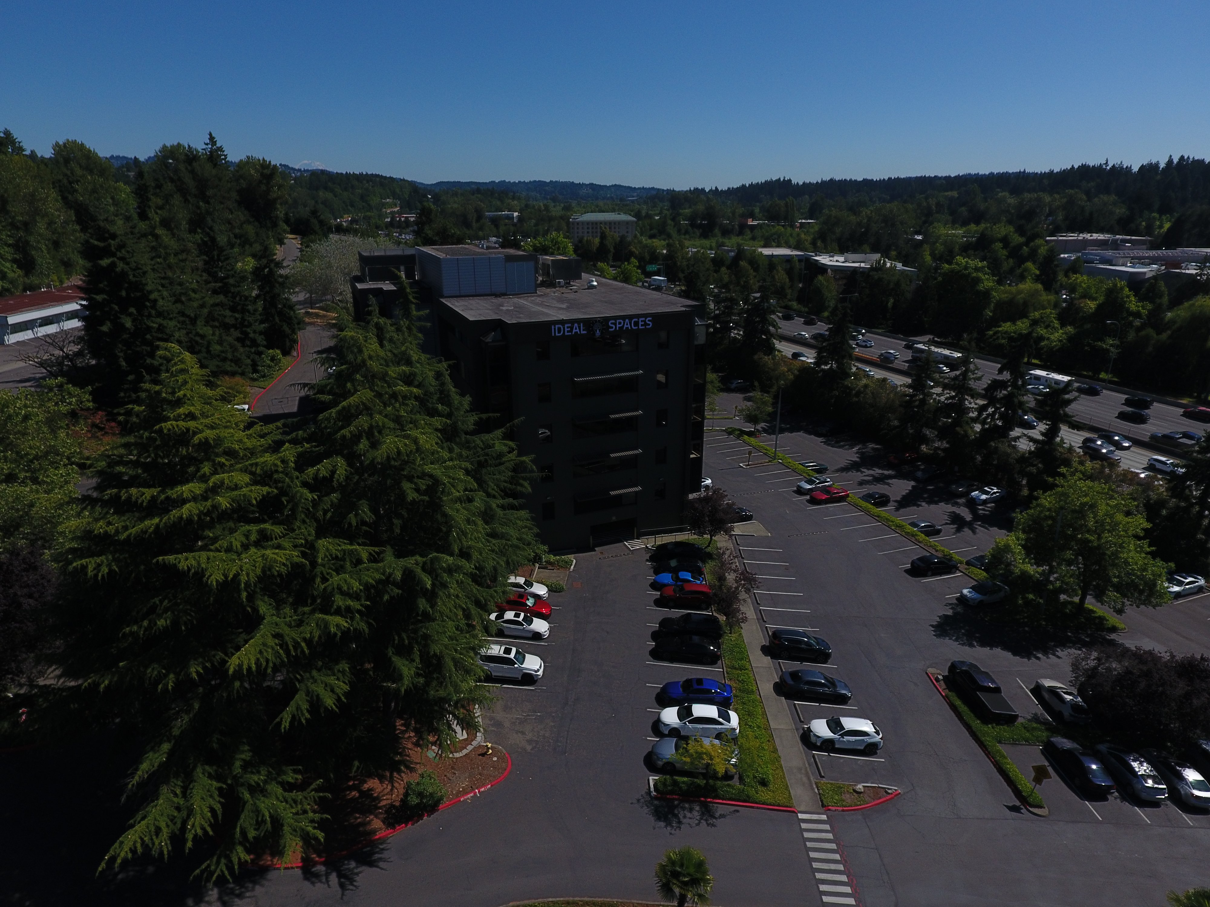 Happy professional at Ideal Spaces coworking