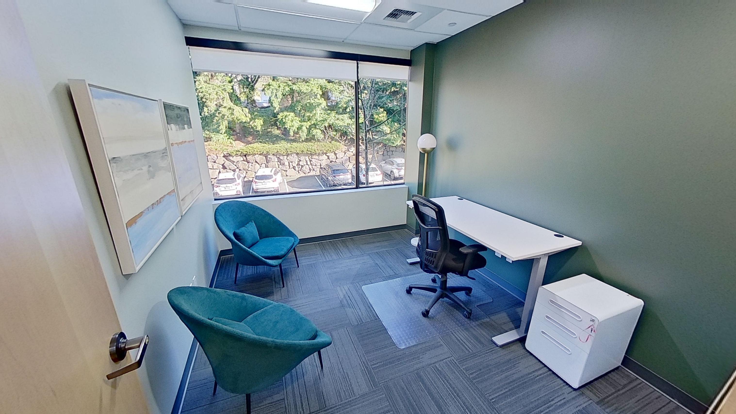 Private View Office for Rent Bellevue